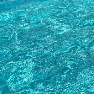 Meet your Posher, Hailey